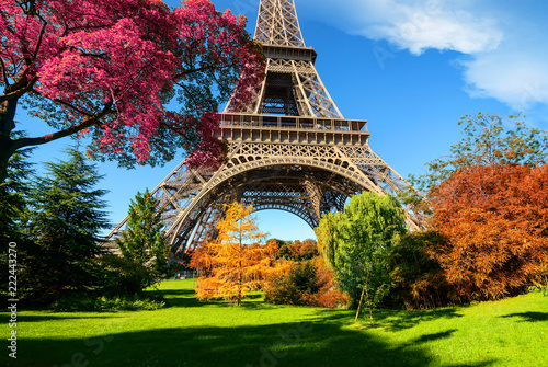 Drzewa w parku w Paryżu jesienią