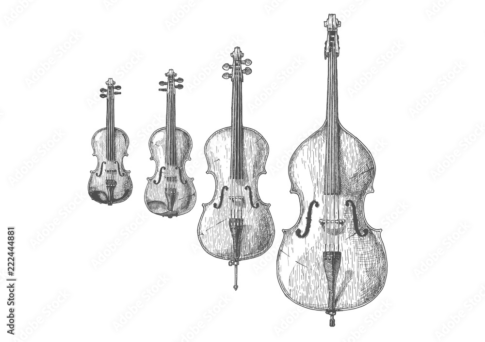 Fototapeta premium Bowed string instruments