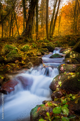 Forest waterfall in forest of Nature park Papuk, Croatia
