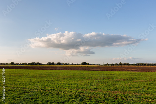 Solitary cloud lit by the sun from the left over a farmland landscape