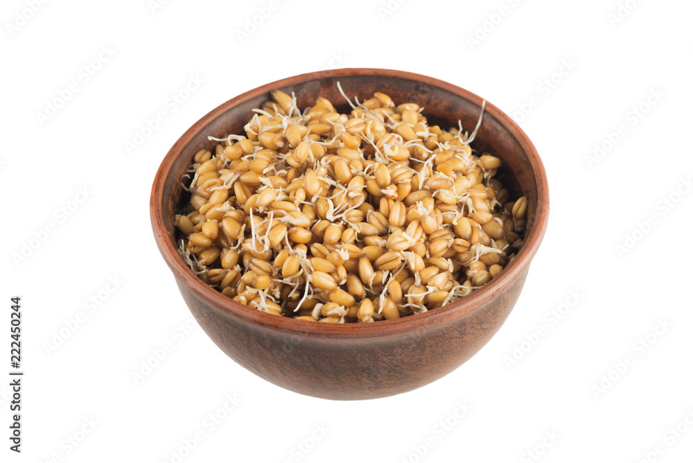 raw sprouted wheat germ isolated on white background raw sprouted wheat germ isolated on white background