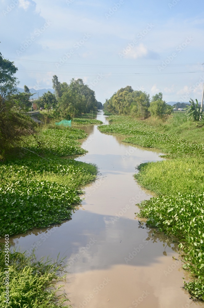 Green River of Cambodia