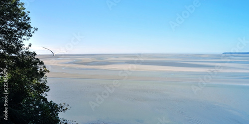 Canvastavla Bird flying over a lowtide seascape during Summer in France (by Mount Saint Michel)