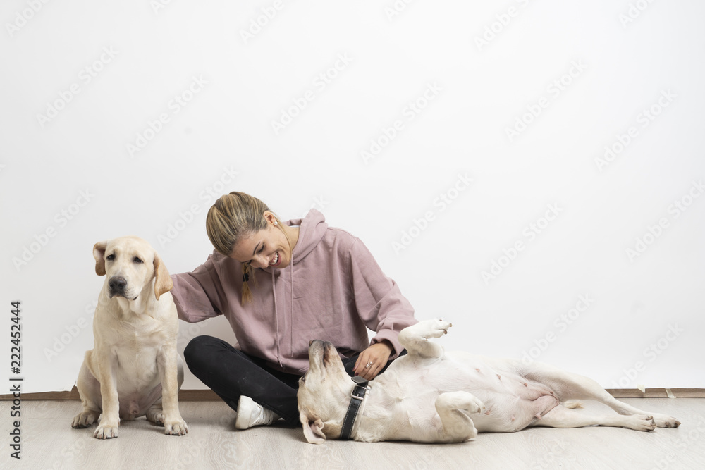 Obraz premium Girl with labrador dogs