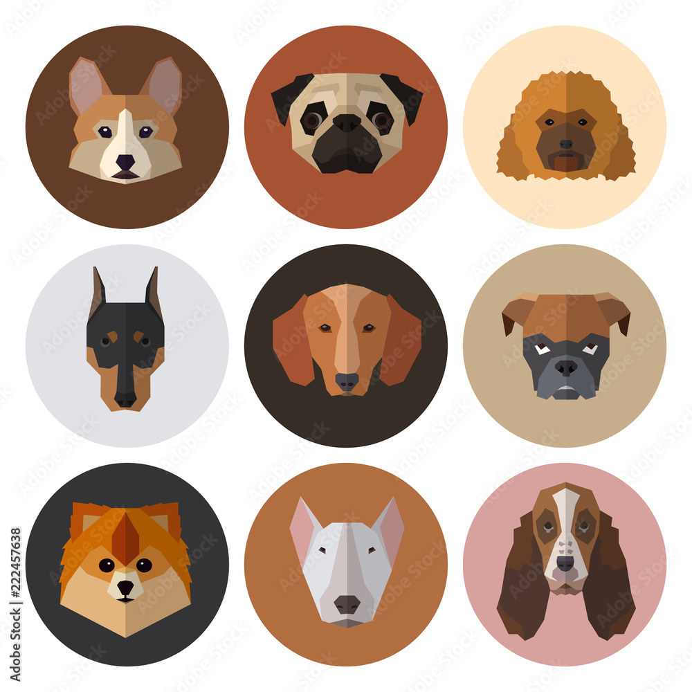 Obraz premium Dogs heads of different breeds.