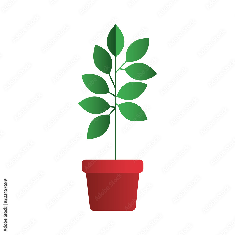 Fototapeta premium leafs plant in pot decorative icon