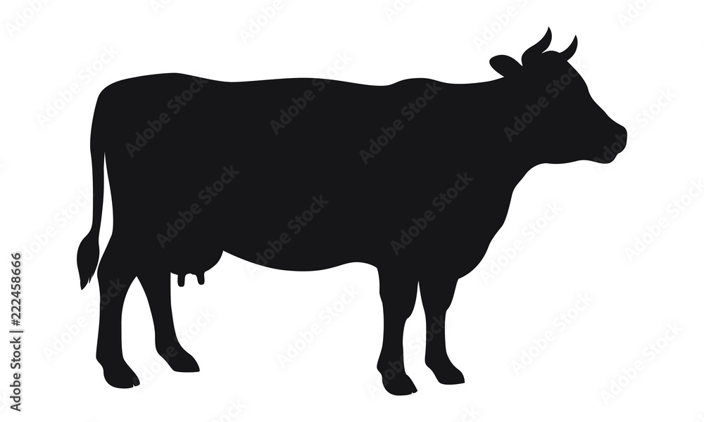 Cow Pattern Vector Art, Icons, and Graphics for Free Download