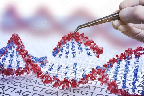 Genetic engineering, GMO and Gene manipulation concept. Hand is inserting sequence of DNA.  3D illustration of DNA. photo