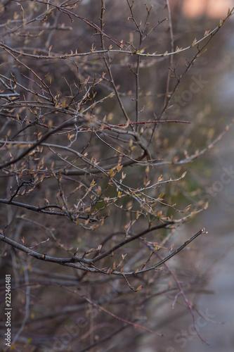 Nature abstract background