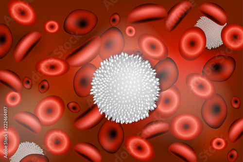 White blood cells (also called leukocytes or leucocytes and abbreviated as WBCs). Immunity of the body    