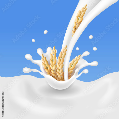 Cereals and milk, Rice spikelets in splashing milk vector illustration