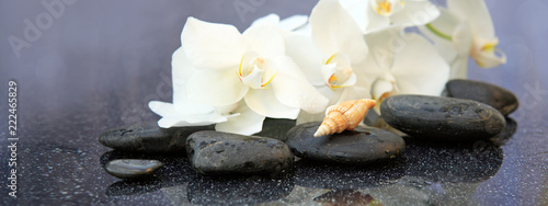 White orchids flowers and spa stones . Spa background.