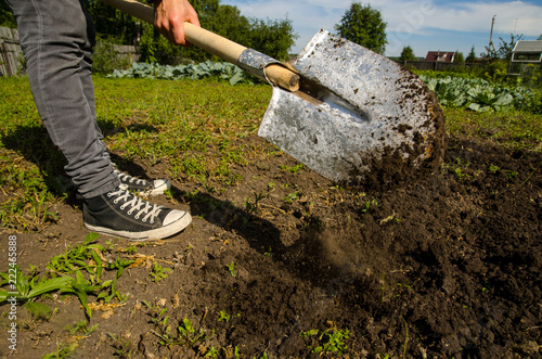 A man digs the ground in the garden with a shovel
