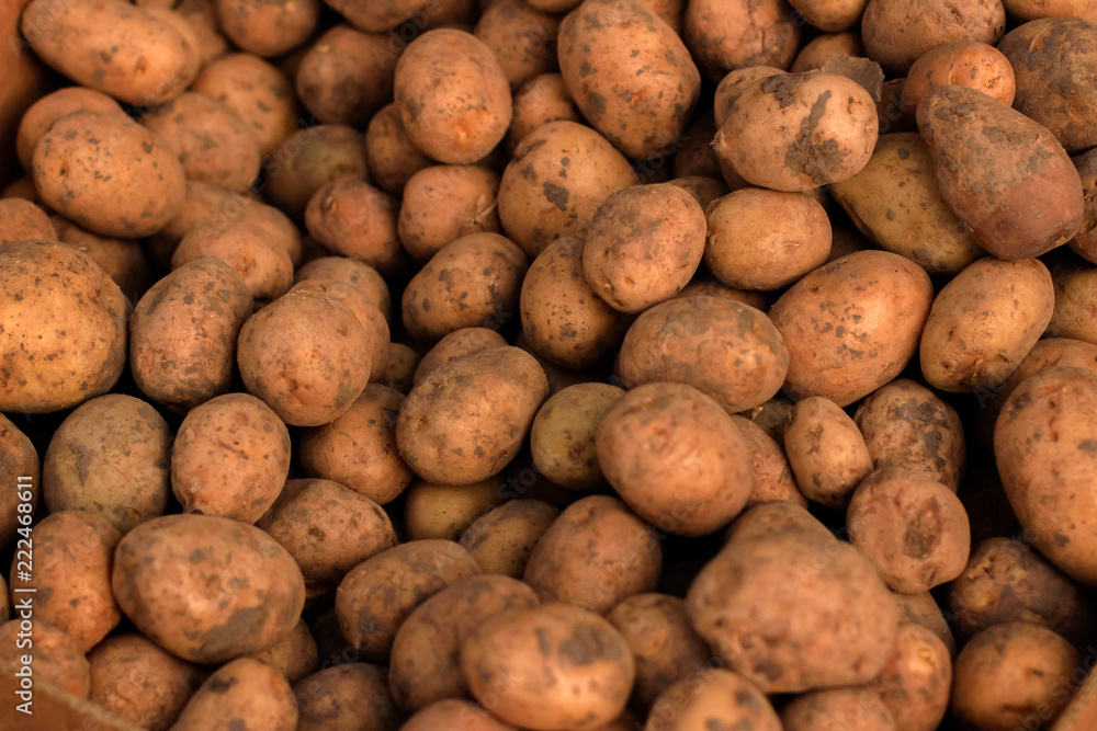 food, potato, vegetable, potatoes, isolated, healthy, fresh, raw, brown, agriculture, white, organic, market, ingredient, root, fruit, nature, vegetarian, carbohydrate food, potato, vegetable, potatoes, isolated, healthy, fresh, raw, brown, agriculture, white, organic, market, ingredient, root, fruit, nature, vegetarian, carbohydrate