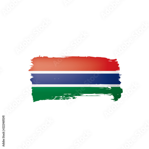 Gambia flag  vector illustration on a white background