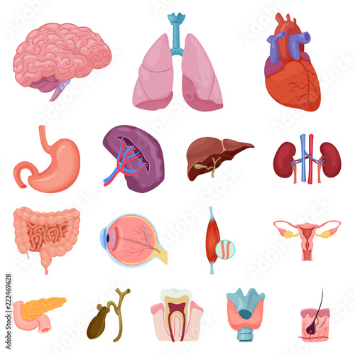 Vector design of body and human symbol. Set of body and medical stock symbol for web.