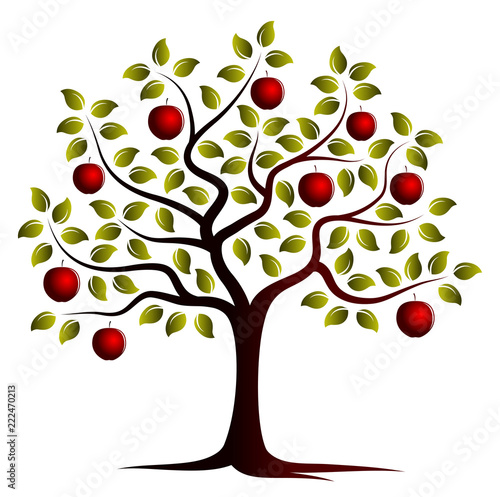 apple tree