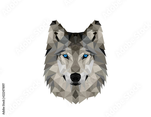 Polygonal Wolve Head Logo Design Illustration