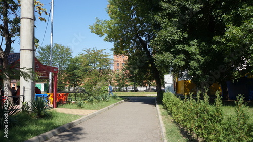 garden Belorechensk green trees