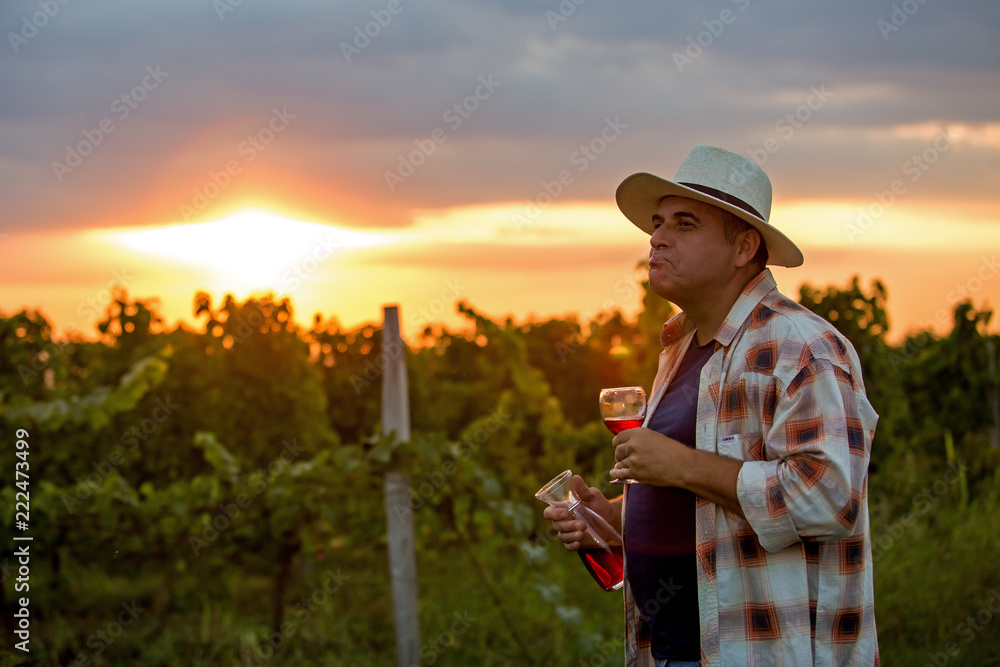 Man harvesting in vineyard