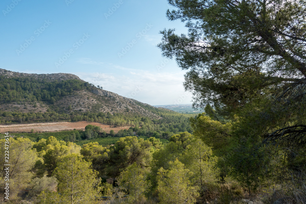 The desert park of Las Palmas in Castellón