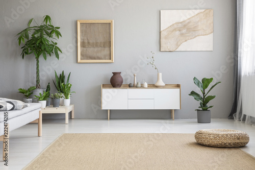 Wicker footrest placed on big carpet on the floor in real photo of light grey living room interior with fresh green plants, two modern posters and white cupboard