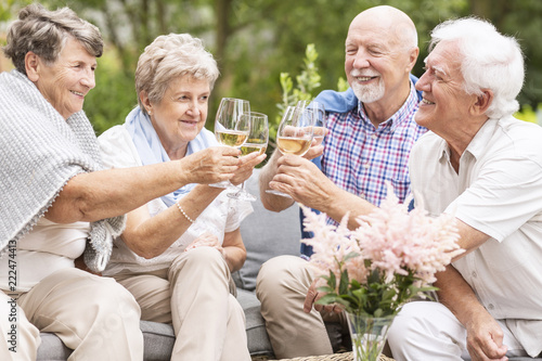 A toast made by happy senior women and men to celebrate the beautiful summer afternoon during their leisure time together. Smiling elderly couples with wine glasses.