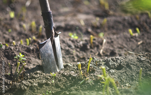 agricultural shovel in the ground