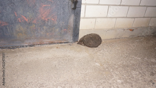 wall and floor