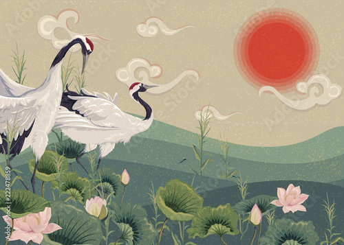 Illustration with Japanese cranes in the lake at sunset