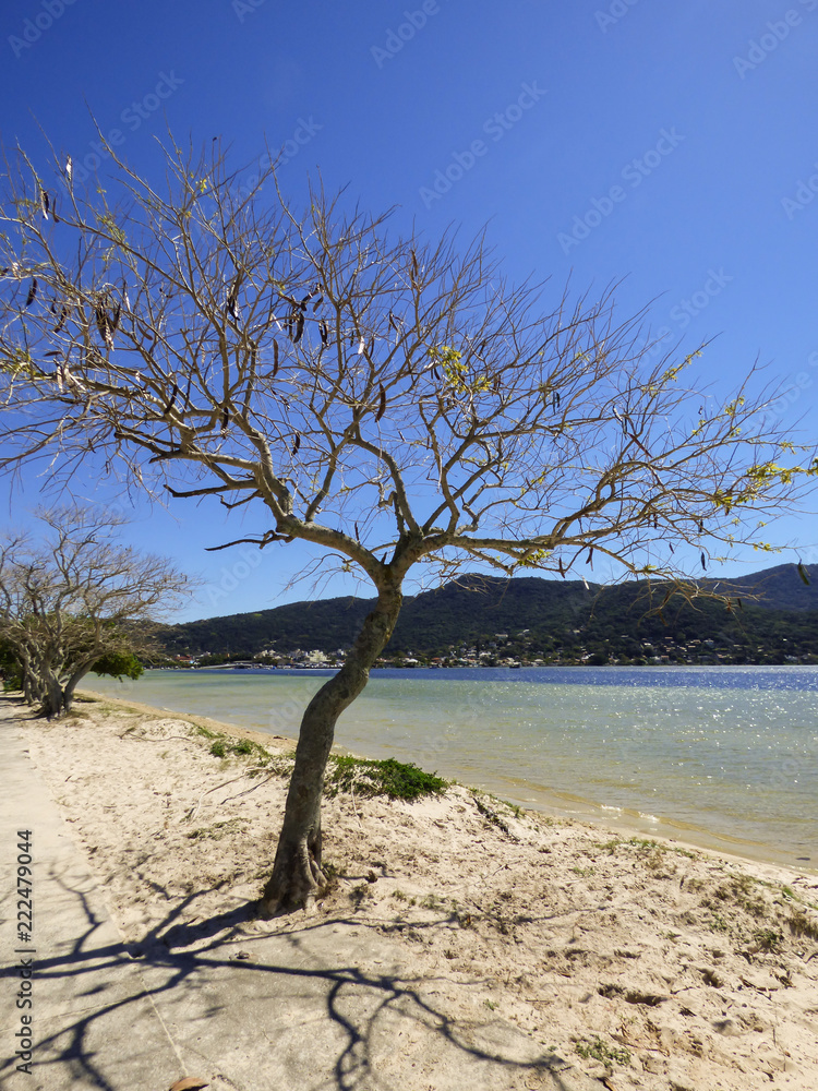 A view of Lagoa da Conceicao in winter - Florianopolis, Brazil A view of Lagoa da Conceicao in winter - Florianopolis, Brazil