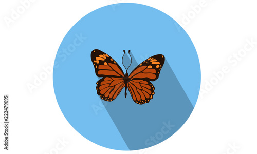 Colorful Butterfly Vector isolated flat icon for web and mobile photo