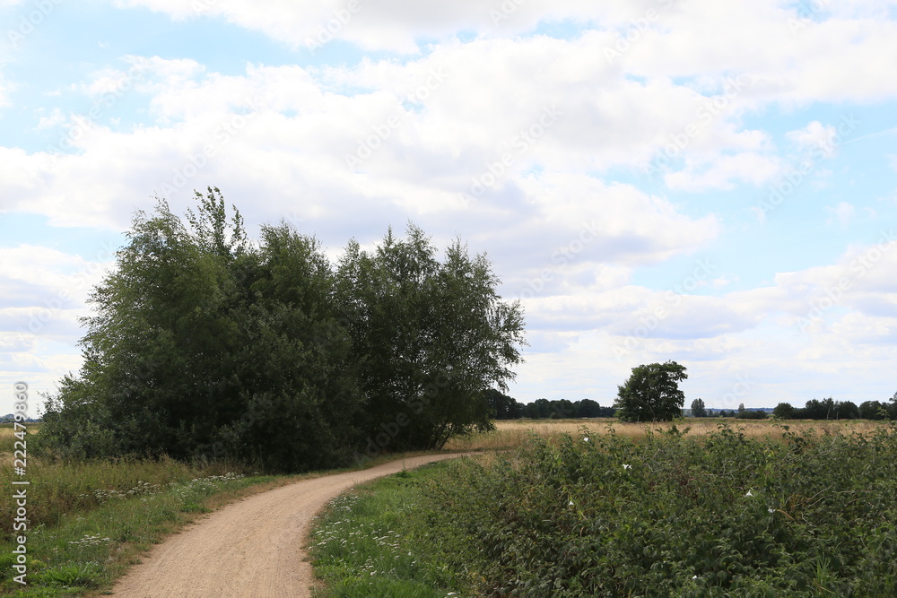 Im Bereich der Flußlandschaft der Hamme im Sommer in der Umgebung von Worpswede