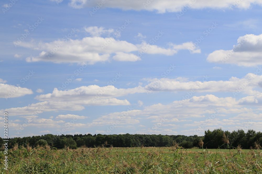 Im Bereich der Flußlandschaft der Hamme im Sommer in der Umgebung von Worpswede