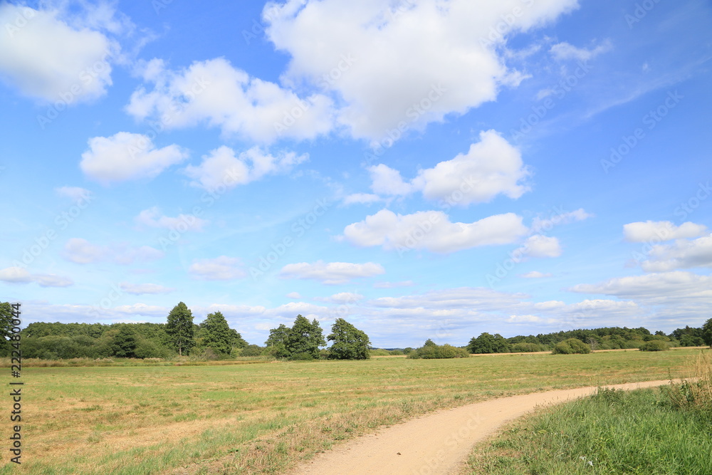 Im Bereich der Flußlandschaft der Hamme im Sommer in der Umgebung von Worpswede