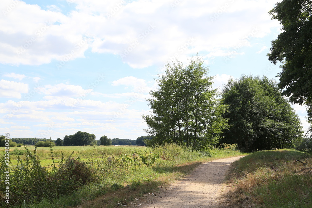 Im Bereich der Flußlandschaft der Hamme im Sommer in der Umgebung von Worpswede