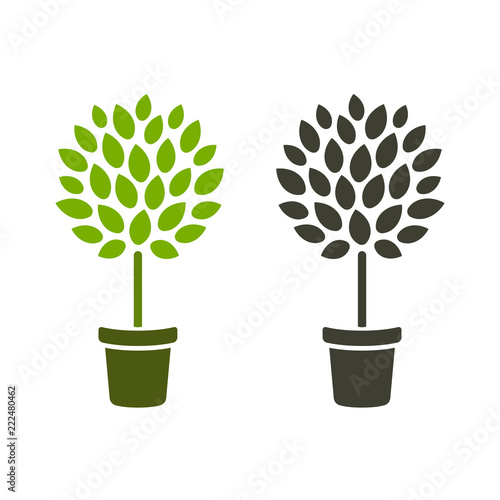 Tree in pot icon