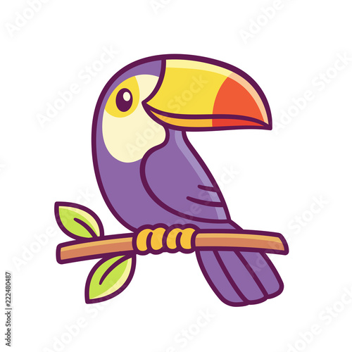 Cartoon toucan drawing