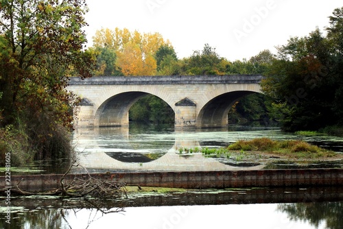 Loire  france  bridge  river  water  architecture   landscape  old  europe  reflection  stone  trees  travel  arch  landmark  view  nature  tree  park  historic  ancient  i