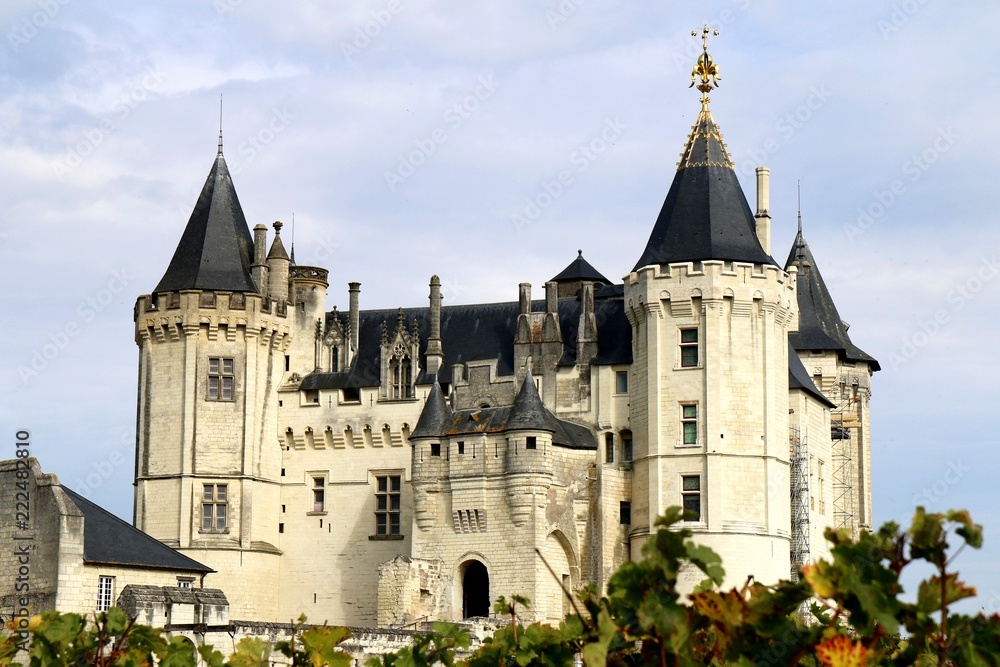 Chateau de Saumur, france, castle, chateau, france, tower, architecture, medieval, fortress, old, building, stone, history, ancient, fortification, historic,