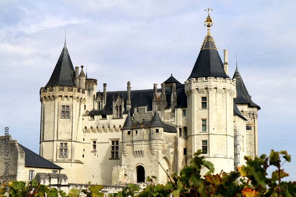 Fototapeta premium Chateau de Saumur, france, castle, chateau, france, tower, architecture, medieval, fortress, old, building, stone, history, ancient, fortification, historic,
