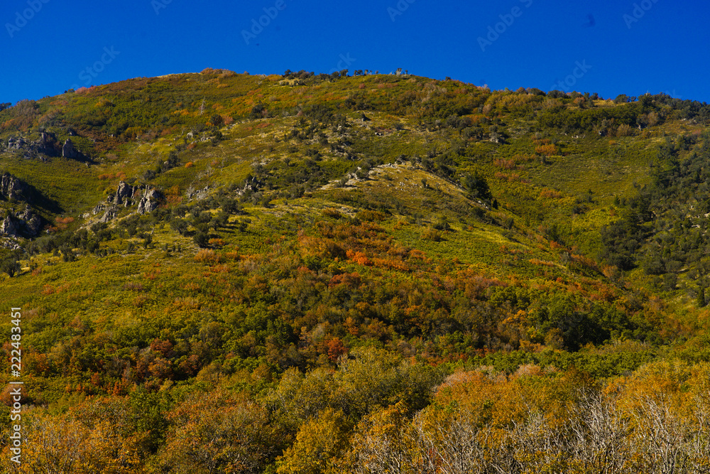 Fototapeta premium Fall on the Mountian