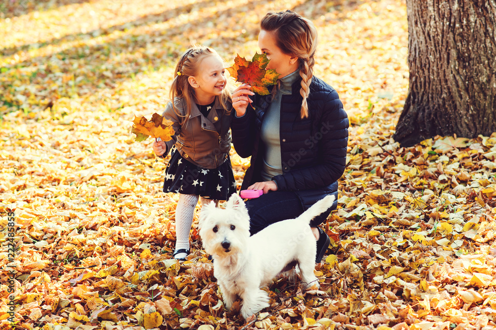 Mother, daughter and their dog having fun in the autumn park among the falling leaves. Walk in the autumn park. Girl and her mother are enjoying sunny autumn day. Family, pet, autumn concept. Mother, daughter and their dog having fun in the autumn park among the falling leaves. Walk in the autumn park. Girl and her mother are enjoying sunny autumn day. Family, pet, autumn concept.