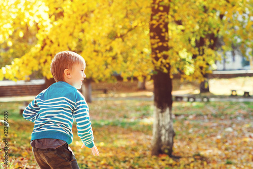Happy little boy playing in autumn park on warm sunny day. Autumn, childhood, and people concept. Autumn kids fashion. Happy childhood. Autumn holidays. Funny kid outdoors in fall.