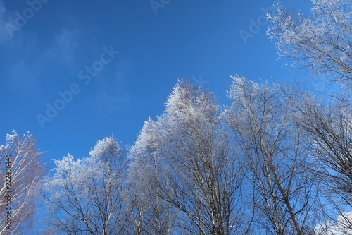 Winter landscape © Ирина Крикливая