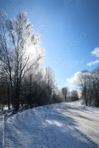Winter landscape