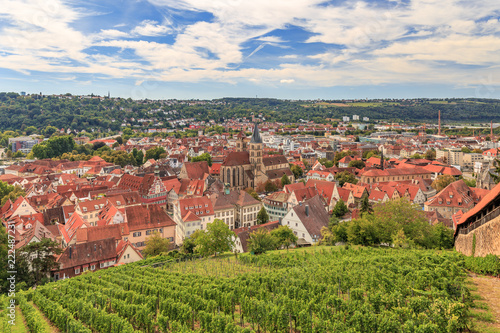 Esslingen am Neckar von der Esslinger Burg im Sommer