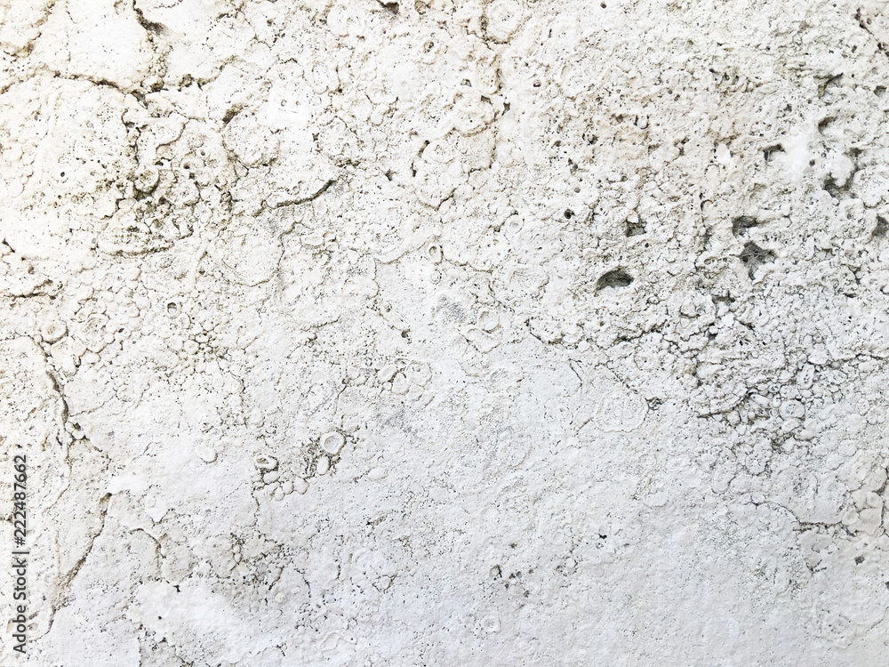 Fototapeta premium porous surface. wall