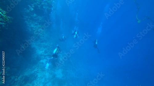 scuba divers in the sea © irynah