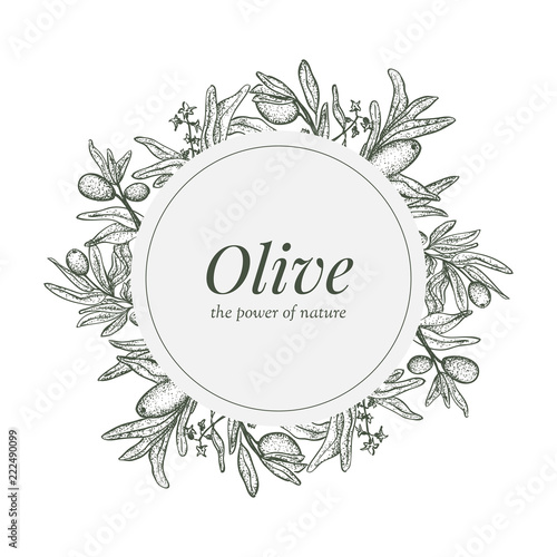 Lable design with olive hand drawn elements. Olives and branches on white.